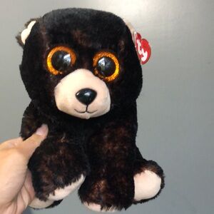 TY Classic Collection Velvety Kodi Bear Stuffed Animal